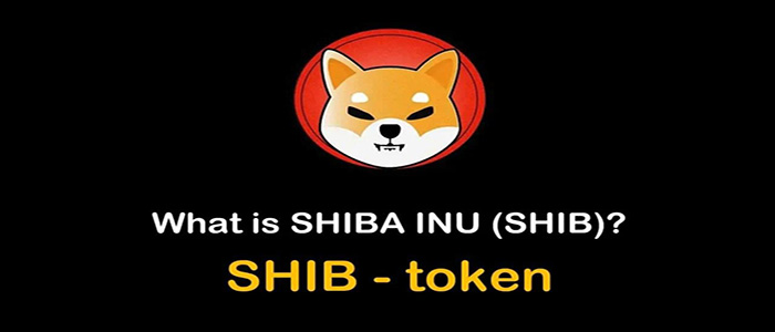 ارز شیبا Shiba inu چیست ؟